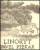 Linoryt 1983-1999